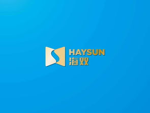 海智品牌VI設(shè)計 海雙信息科技的企業(yè)形象與文化傳達(dá)